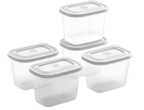 FOOD SAVER CONTAINER 250V (250V X 5) (1250 ML) (ASSORTED) (5 PC SET)
