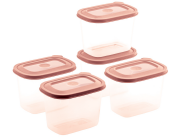 FOOD SAVER CONTAINER 250V (250V X 5) (1250 ML) (ASSORTED) (5 PC SET)