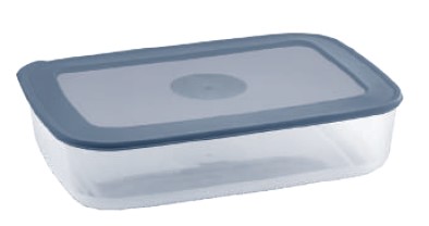 Food Saver Container 3900H (3900 Ml) (Assorted)